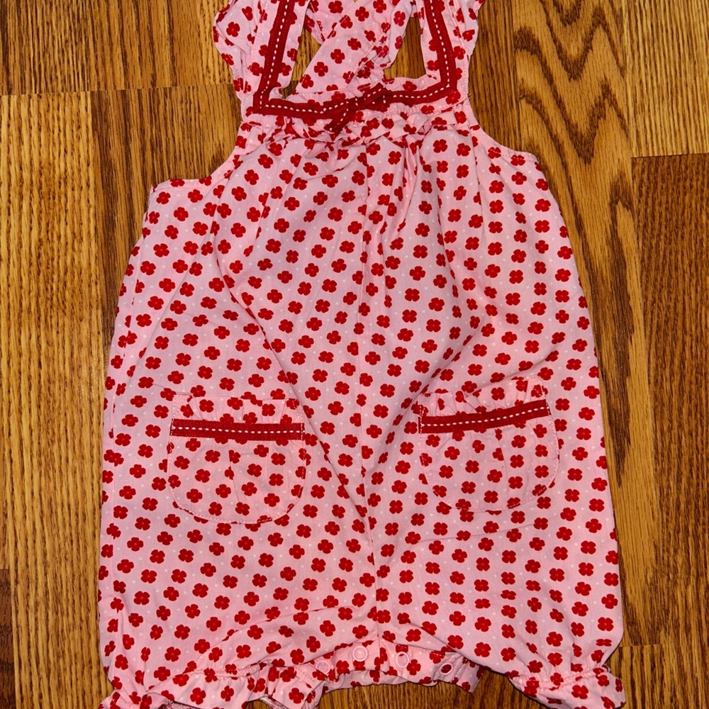 Gymboree Pink and Red Floral Baby Outfit